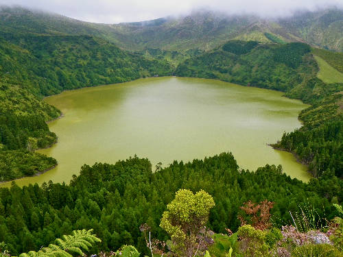 Faja Grande, Ilha das Flores, Acores Portugal Promo-Code Booking.com