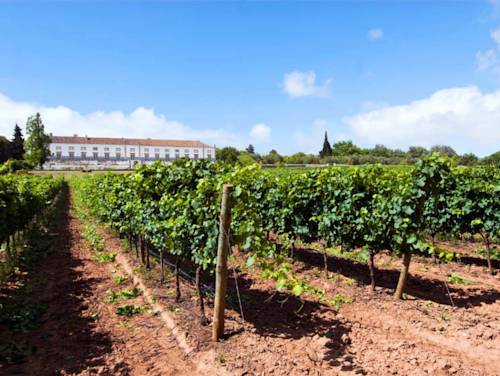Sesimbra Portugal Promo-Code Booking.com