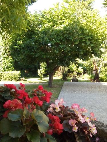 Viseu Portugal Promo-Code Booking.com
