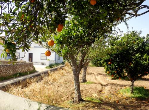 Lagos Portugal promotiecode Booking.com