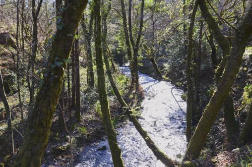 Scheid Vouga Portugal promotiecode Booking.com