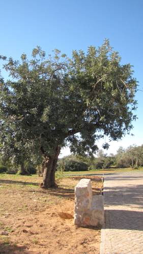 Tavira Portugal promotiecode Booking.com