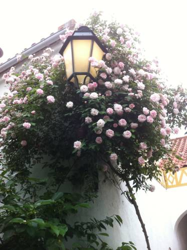 Ferreira do Alentejo Portugal promotiecode Booking.com